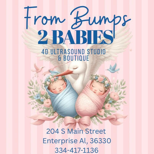 From Bumps 2 Babies